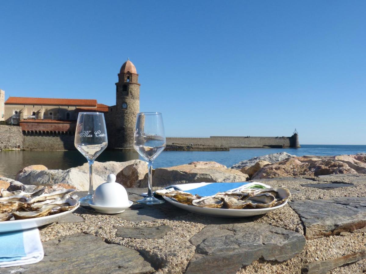 Chouette Coquette Villa Salses-le-Chateau Dış mekan fotoğraf